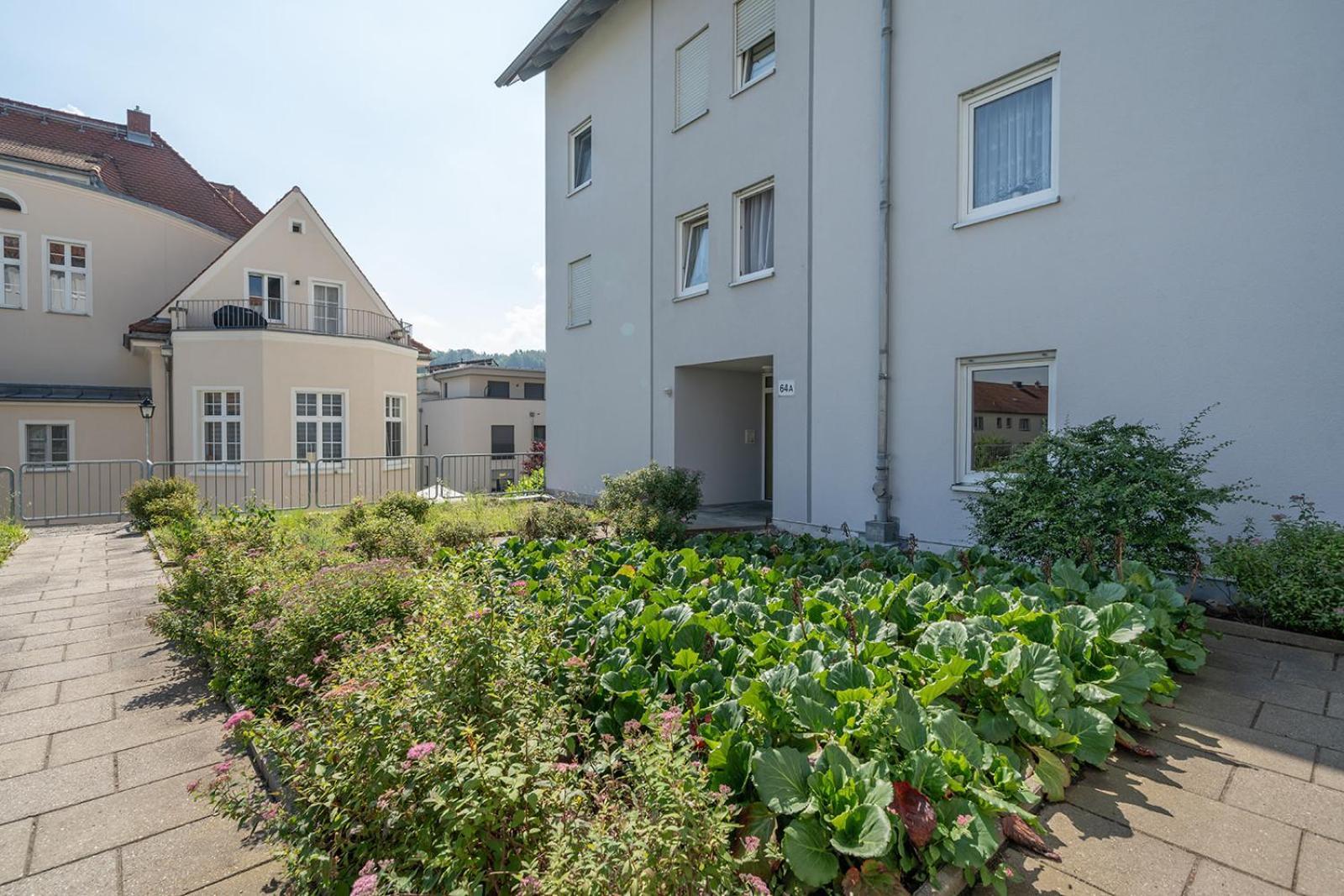 Benville Pirna - Modern - Familie - Terrasse エクステリア 写真